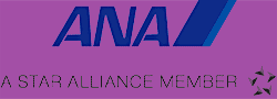 ana logo